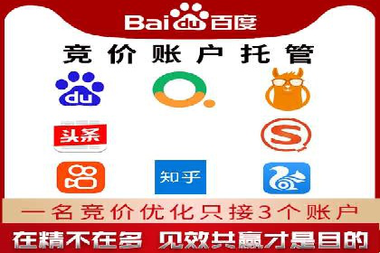 百度SEM竞价推广，案例解析转化率提升秘诀