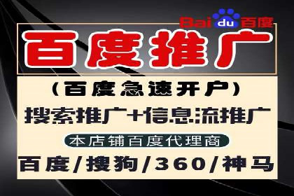 SEM托管实战案例：揭秘高效广告投放秘诀
